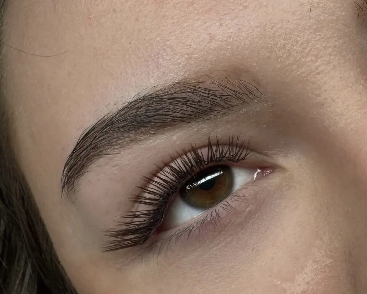 Wimpernverlängerung, Nahaufnahme eines Auges mit dichten, geschwungenen Wimpern