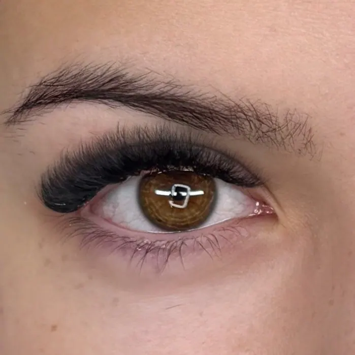 Wimpernverlängerung mit dichtem Volumen-Look, braunes Auge, Nahaufnahme von vorne