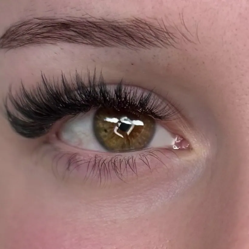 Wimpernverlängerung mit vollem Schwung, braunes Auge, Nahaufnahme von vorne