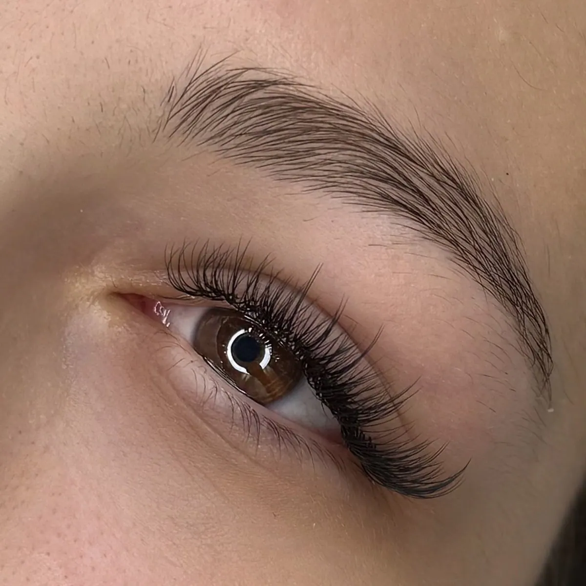 Wimpernverlängerung mit geschwungenen Wimpern, braunes Auge, Ansicht von der Seite